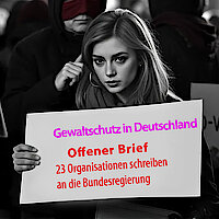 Offener Brief fastflux.ai.jpg